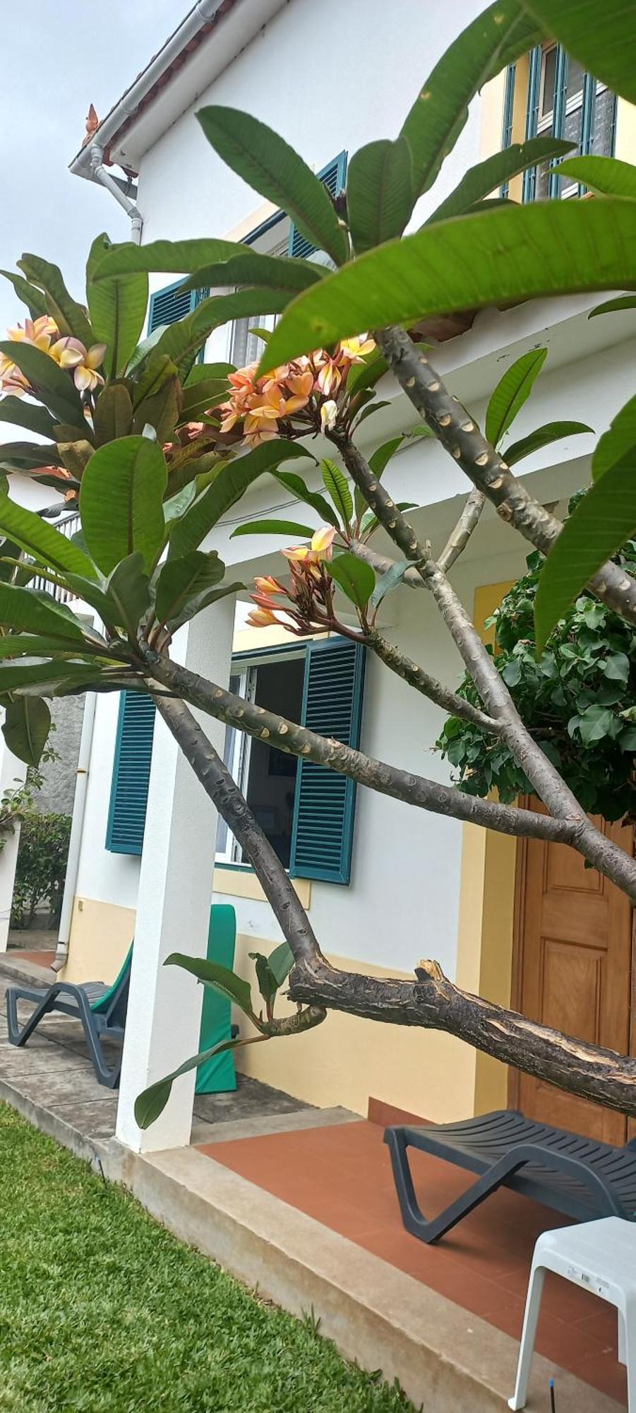 Villa Cosy Nook Фуншал Екстериор снимка